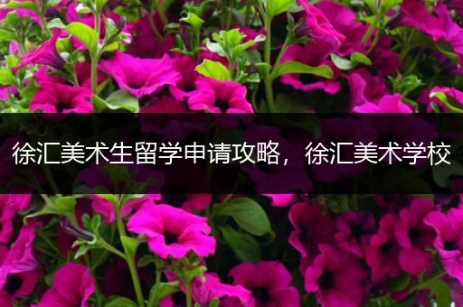 徐汇美术生留学申请攻略，徐汇美术学校