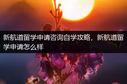 新航道留学申请咨询自学攻略，新航道留学申请怎么样