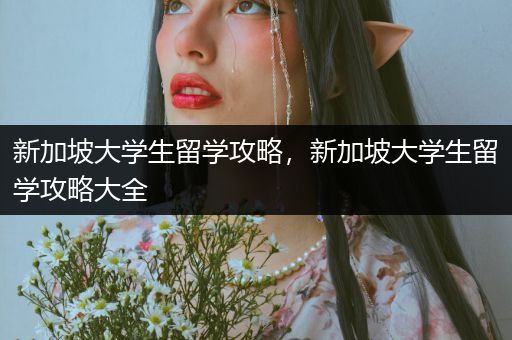 新加坡大学生留学攻略，新加坡大学生留学攻略大全