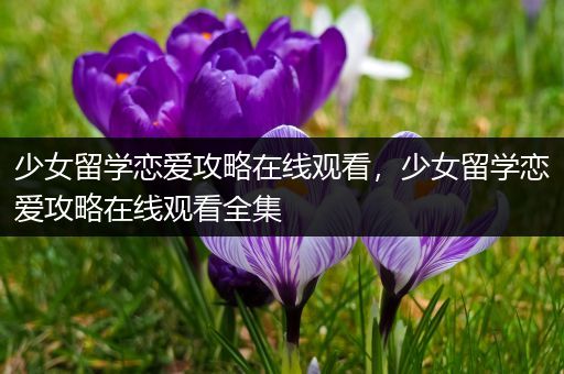 少女留学恋爱攻略在线观看，少女留学恋爱攻略在线观看全集
