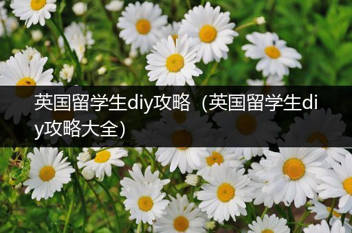 英国留学生diy攻略（英国留学生diy攻略大全）
