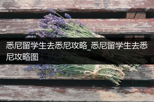 悉尼留学生去悉尼攻略_悉尼留学生去悉尼攻略图