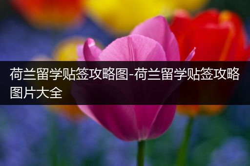 荷兰留学贴签攻略图-荷兰留学贴签攻略图片大全
