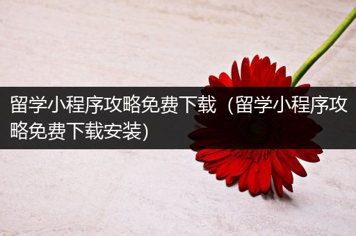 留学小程序攻略免费下载（留学小程序攻略免费下载安装）