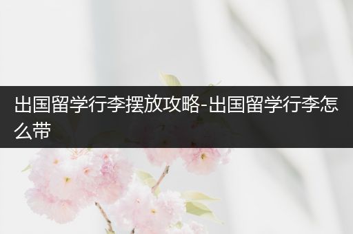 出国留学行李摆放攻略-出国留学行李怎么带