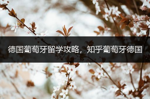 德国葡萄牙留学攻略，知乎葡萄牙德国
