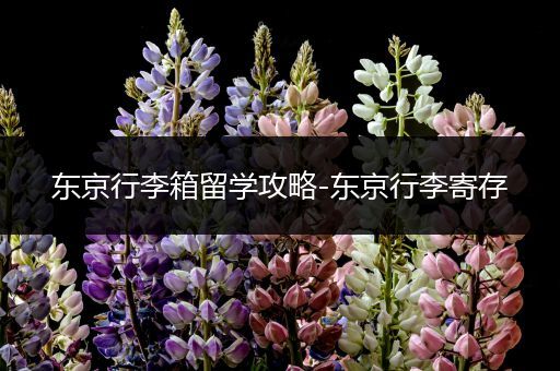 东京行李箱留学攻略-东京行李寄存