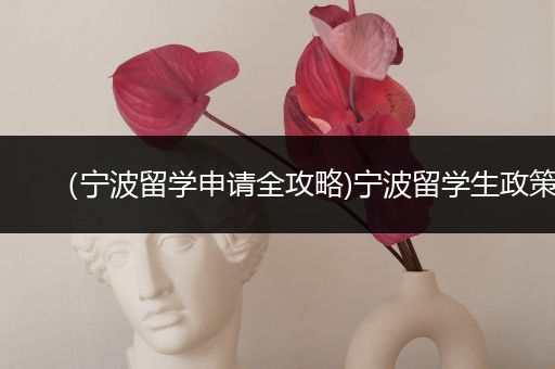 （宁波留学申请全攻略)宁波留学生政策