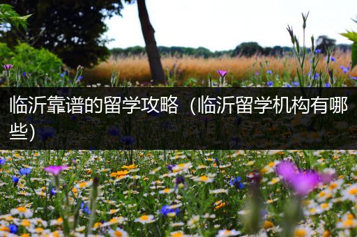 临沂靠谱的留学攻略（临沂留学机构有哪些）