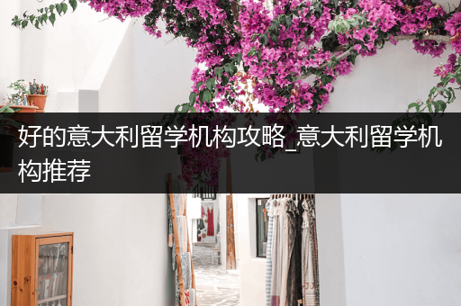 好的意大利留学机构攻略_意大利留学机构推荐