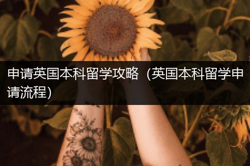 申请英国本科留学攻略（英国本科留学申请流程）