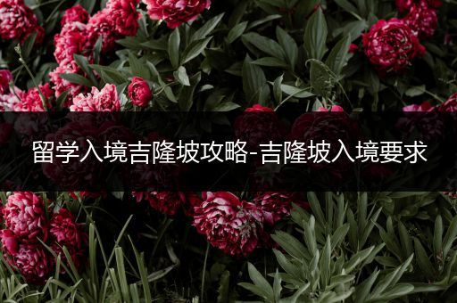 留学入境吉隆坡攻略-吉隆坡入境要求