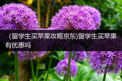 （留学生买苹果攻略京东)留学生买苹果有优惠吗