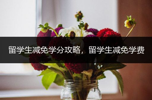 留学生减免学分攻略，留学生减免学费