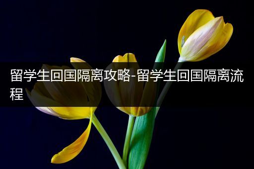 留学生回国隔离攻略-留学生回国隔离流程