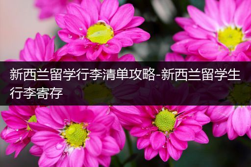 新西兰留学行李清单攻略-新西兰留学生行李寄存