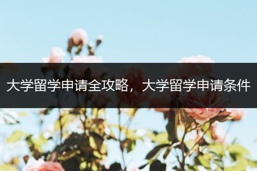 大学留学申请全攻略，大学留学申请条件