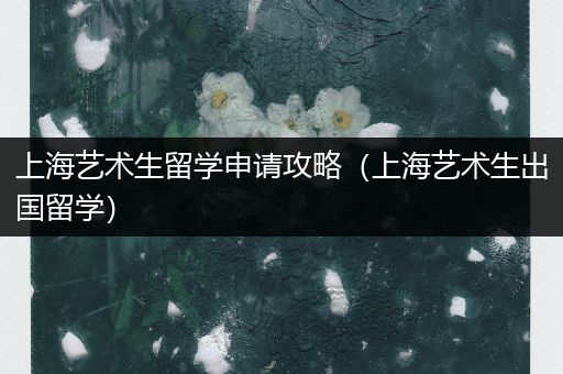 上海艺术生留学申请攻略（上海艺术生出国留学）