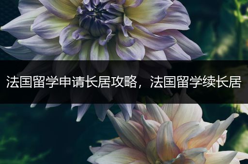 法国留学申请长居攻略，法国留学续长居