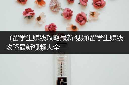（留学生赚钱攻略最新视频)留学生赚钱攻略最新视频大全