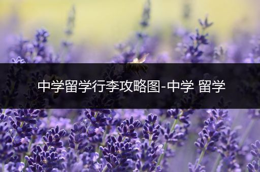 中学留学行李攻略图-中学 留学