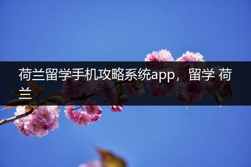 荷兰留学手机攻略系统app，留学 荷兰