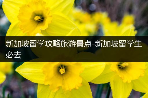 新加坡留学攻略旅游景点-新加坡留学生必去