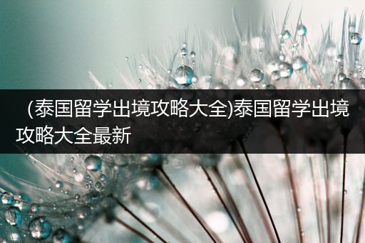 （泰国留学出境攻略大全)泰国留学出境攻略大全最新