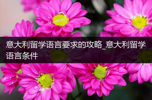 意大利留学语言要求的攻略_意大利留学语言条件