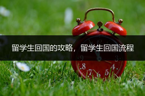 留学生回国的攻略，留学生回国流程