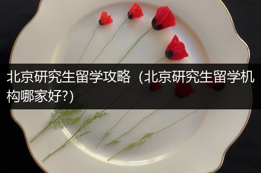 北京研究生留学攻略（北京研究生留学机构哪家好?）