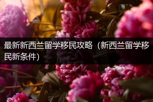 最新新西兰留学移民攻略（新西兰留学移民新条件）