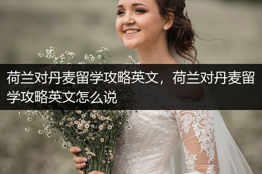 荷兰对丹麦留学攻略英文，荷兰对丹麦留学攻略英文怎么说