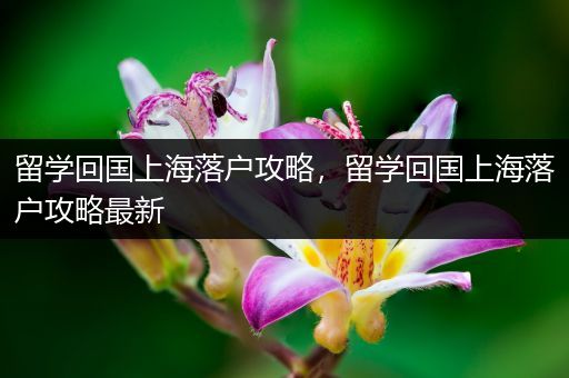 留学回国上海落户攻略，留学回国上海落户攻略最新