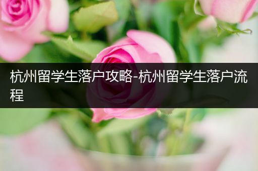 杭州留学生落户攻略-杭州留学生落户流程