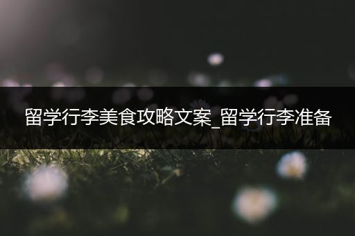 留学行李美食攻略文案_留学行李准备