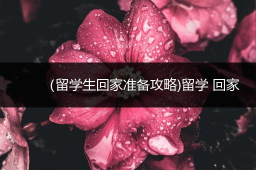 （留学生回家准备攻略)留学 回家