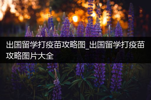 出国留学打疫苗攻略图_出国留学打疫苗攻略图片大全