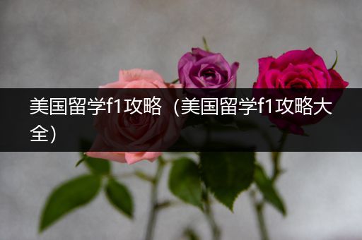 美国留学f1攻略（美国留学f1攻略大全）