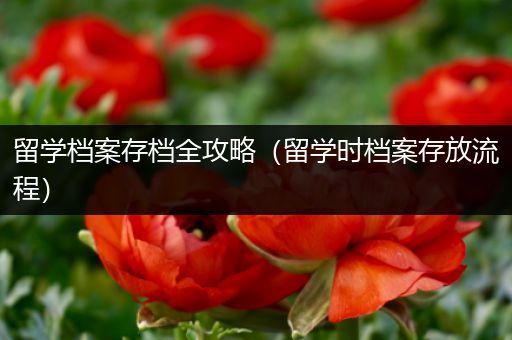 留学档案存档全攻略（留学时档案存放流程）