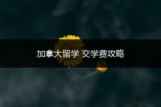 加拿大留学 交学费攻略