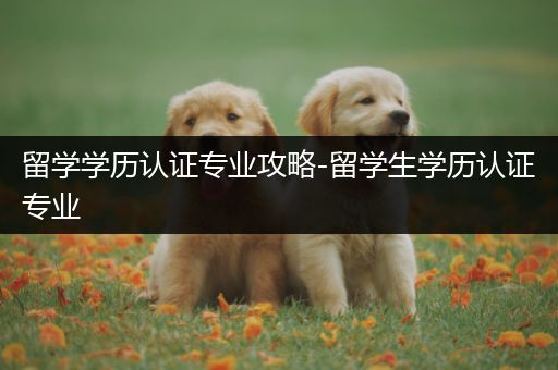 留学学历认证专业攻略-留学生学历认证专业