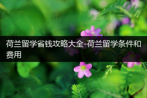 荷兰留学省钱攻略大全-荷兰留学条件和费用