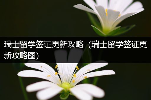 瑞士留学签证更新攻略（瑞士留学签证更新攻略图）