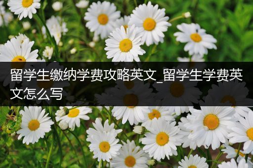 留学生缴纳学费攻略英文_留学生学费英文怎么写