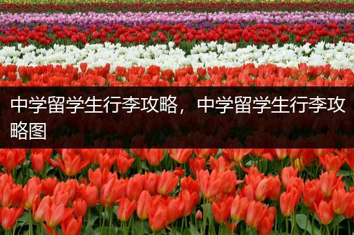 中学留学生行李攻略，中学留学生行李攻略图