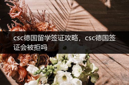 csc德国留学签证攻略，csc德国签证会被拒吗
