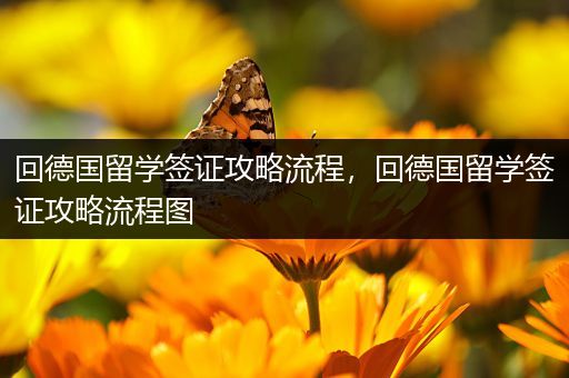 回德国留学签证攻略流程，回德国留学签证攻略流程图