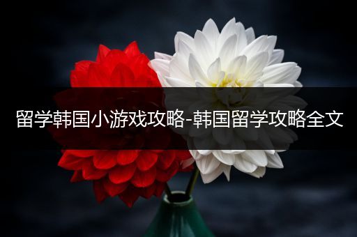 留学韩国小游戏攻略-韩国留学攻略全文