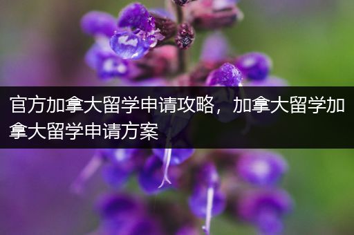 官方加拿大留学申请攻略，加拿大留学加拿大留学申请方案
